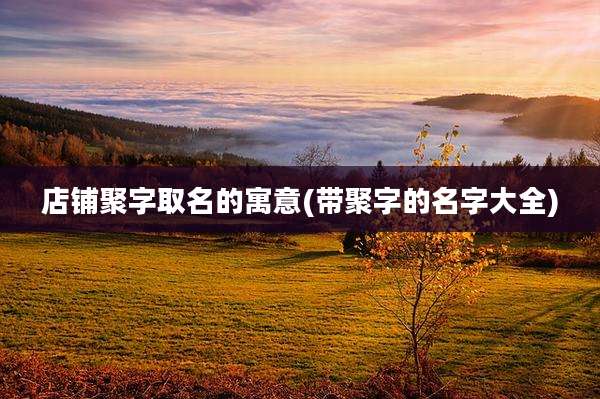 店铺聚字取名的寓意(带聚字的名字大全)