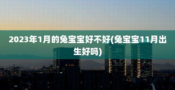 2023年1月的兔宝宝好不好(兔宝宝11月出生好吗)