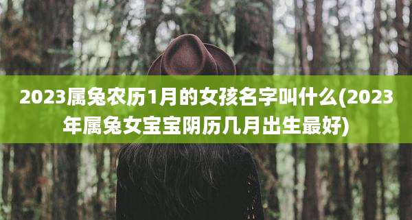2023属兔农历1月的女孩名字叫什么(2023年属兔女宝宝阴历几月出生最好)