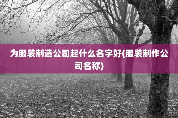 为服装制造公司起什么名字好(服装制作公司名称)