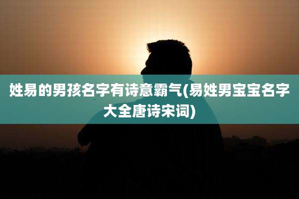 姓易的男孩名字有诗意霸气(易姓男宝宝名字大全唐诗宋词)