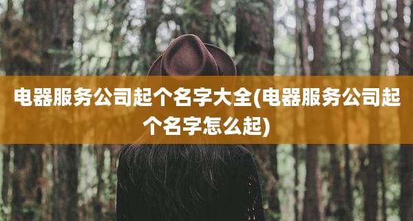 电器服务公司起个名字大全(电器服务公司起个名字怎么起)