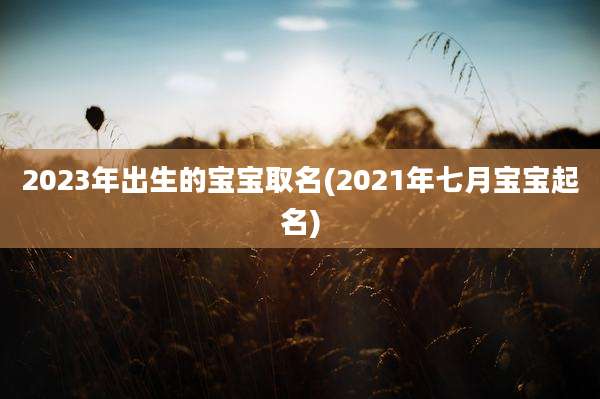 2023年出生的宝宝取名(2021年七月宝宝起名)