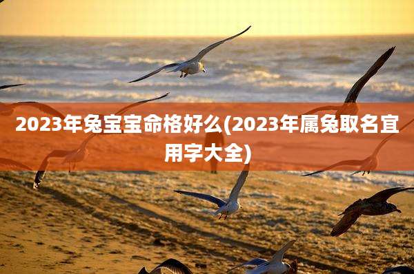2023年兔宝宝命格好么(2023年属兔取名宜用字大全)