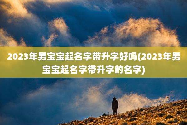 2023年男宝宝起名字带升字好吗(2023年男宝宝起名字带升字的名字)