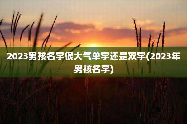 2023男孩名字很大气单字还是双字(2023年男孩名字)