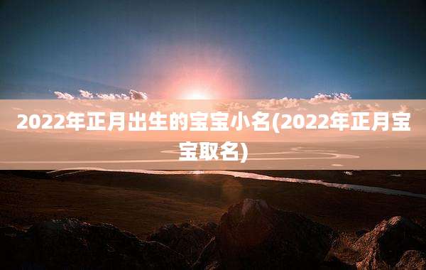 2022年正月出生的宝宝小名(2022年正月宝宝取名)
