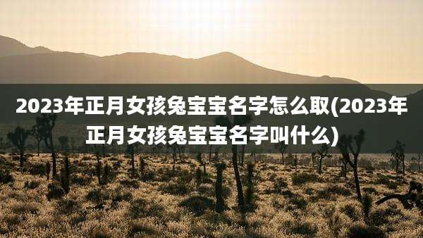 2023年正月女孩兔宝宝名字怎么取(2023年正月女孩兔宝宝名字叫什么)
