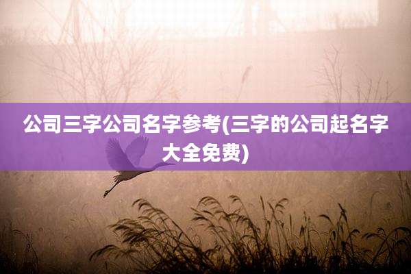 公司三字公司名字参考(三字的公司起名字大全免费)