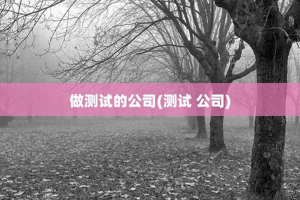 做测试的公司(测试 公司)