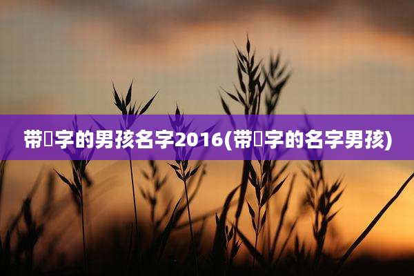 带堉字的男孩名字2016(带崑字的名字男孩)