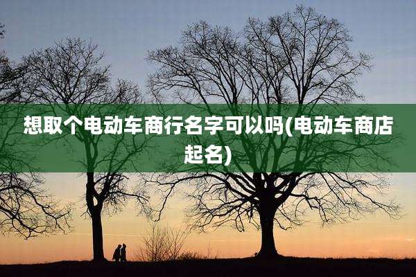 想取个电动车商行名字可以吗(电动车商店起名)