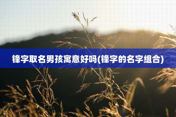 锋字取名男孩寓意好吗(锋字的名字组合)