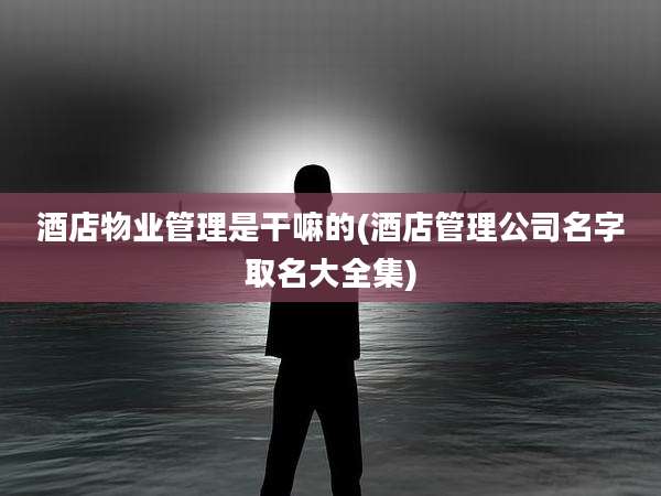 酒店物业管理是干嘛的(酒店管理公司名字取名大全集)