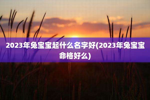 2023年兔宝宝起什么名字好(2023年兔宝宝命格好么)
