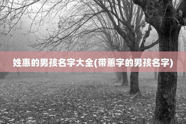 姓惠的男孩名字大全(带蕙字的男孩名字)