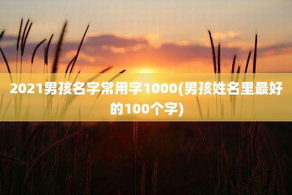 2021男孩名字常用字1000(男孩姓名里最好的100个字)