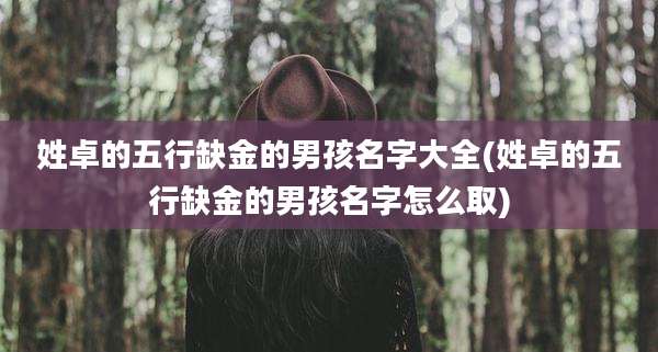 姓卓的五行缺金的男孩名字大全(姓卓的五行缺金的男孩名字怎么取)