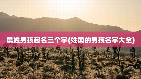 桑姓男孩起名三个字(姓桑的男孩名字大全)