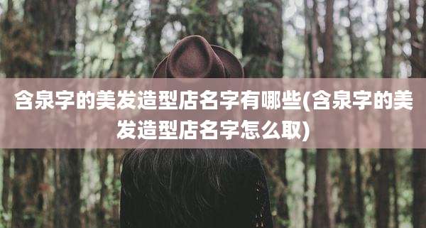 含泉字的美发造型店名字有哪些(含泉字的美发造型店名字怎么取)