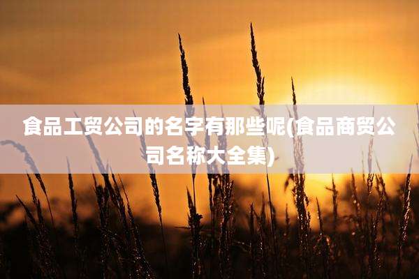 食品工贸公司的名字有那些呢(食品商贸公司名称大全集)