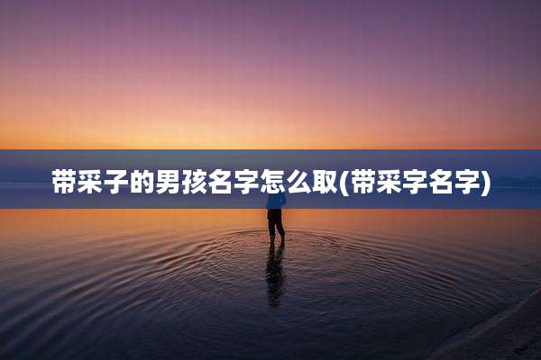 带采子的男孩名字怎么取(带采字名字)