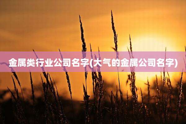金属类行业公司名字(大气的金属公司名字)