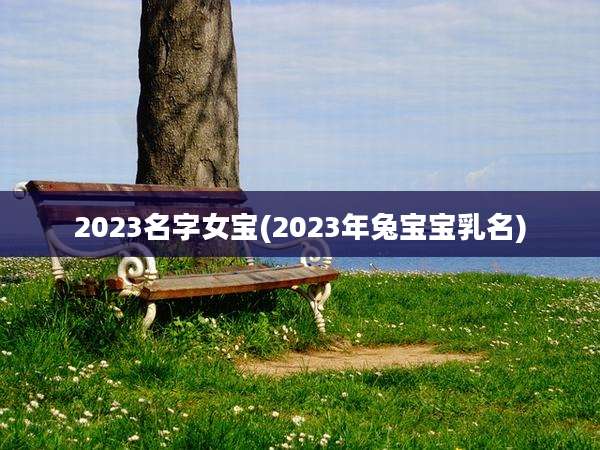 2023名字女宝(2023年兔宝宝乳名)