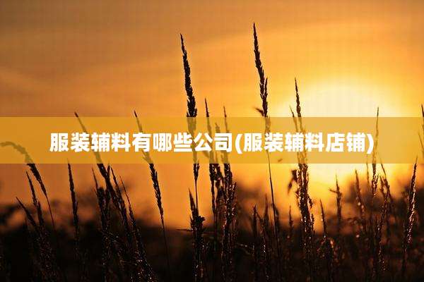 服装辅料有哪些公司(服装辅料店铺)