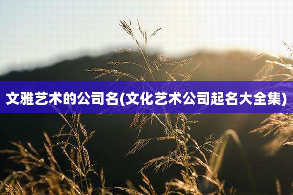 文雅艺术的公司名(文化艺术公司起名大全集)