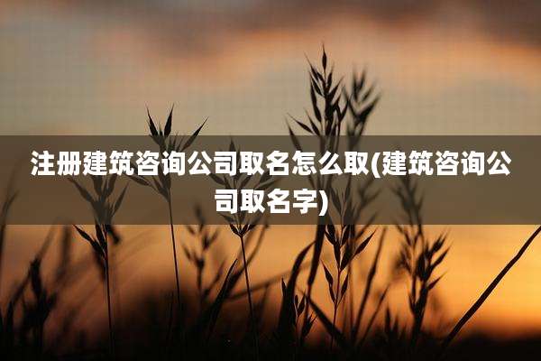注册建筑咨询公司取名怎么取(建筑咨询公司取名字)