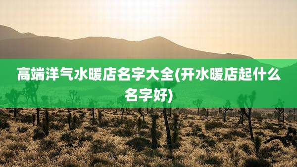 高端洋气水暖店名字大全(开水暖店起什么名字好)