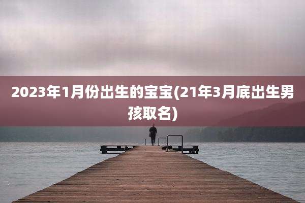 2023年1月份出生的宝宝(21年3月底出生男孩取名)