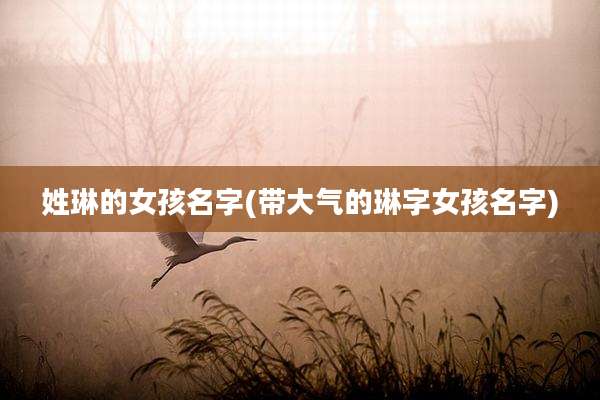 姓琳的女孩名字(带大气的琳字女孩名字)