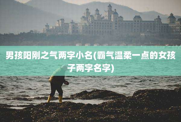 男孩阳刚之气两字小名(霸气温柔一点的女孩子两字名字)