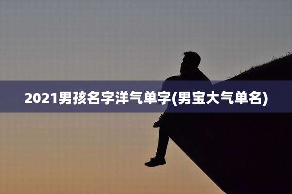 2021男孩名字洋气单字(男宝大气单名)