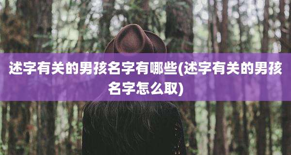 述字有关的男孩名字有哪些(述字有关的男孩名字怎么取)
