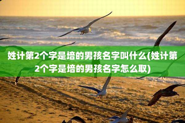 姓计第2个字是培的男孩名字叫什么(姓计第2个字是培的男孩名字怎么取)