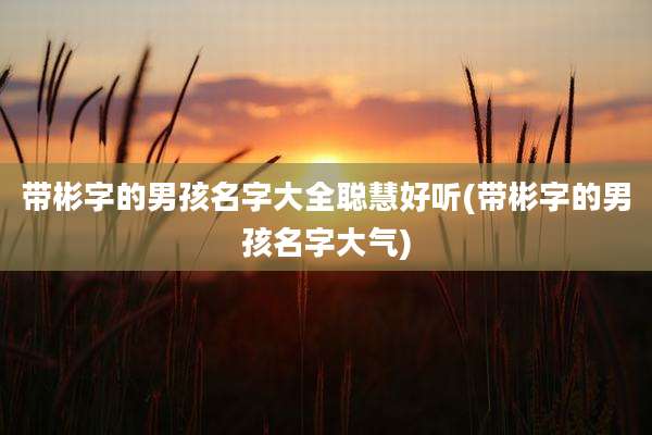 带彬字的男孩名字大全聪慧好听(带彬字的男孩名字大气)