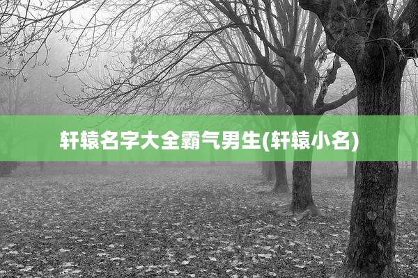 轩辕名字大全霸气男生(轩辕小名)