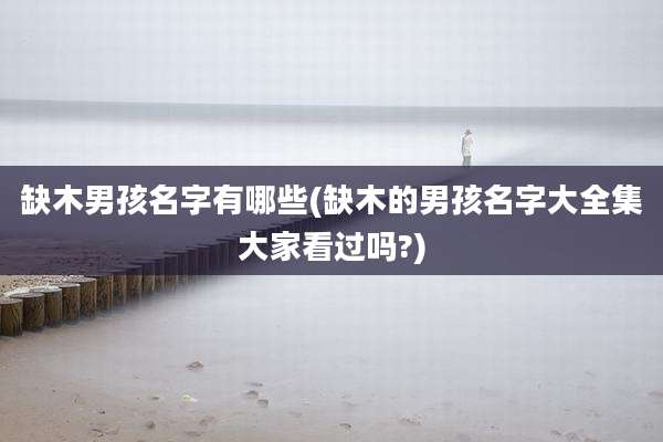 缺木男孩名字有哪些(缺木的男孩名字大全集大家看过吗?)