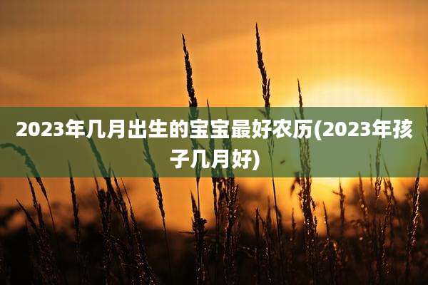 2023年几月出生的宝宝最好农历(2023年孩子几月好)