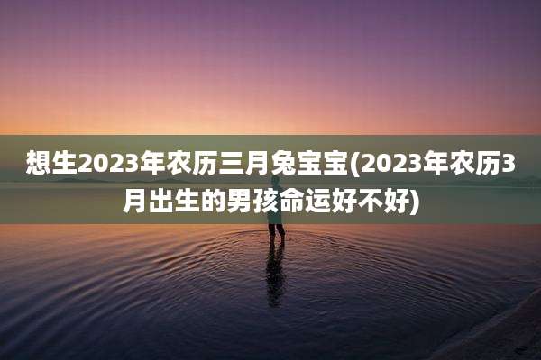 想生2023年农历三月兔宝宝(2023年农历3月出生的男孩命运好不好)