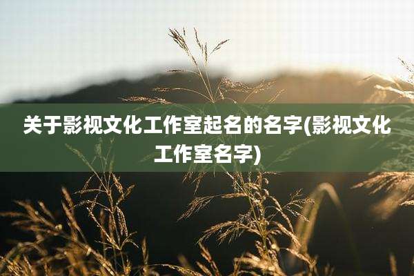 关于影视文化工作室起名的名字(影视文化工作室名字)