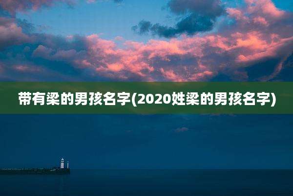 带有梁的男孩名字(2020姓梁的男孩名字)