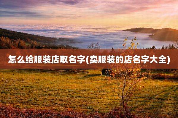 怎么给服装店取名字(卖服装的店名字大全)