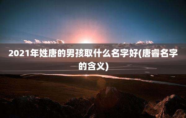 2021年姓唐的男孩取什么名字好(唐睿名字的含义)