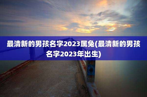 最清新的男孩名字2023属兔(最清新的男孩名字2023年出生)
