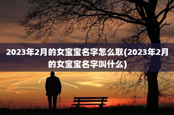 2023年2月的女宝宝名字怎么取(2023年2月的女宝宝名字叫什么)