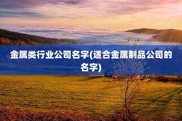 金属类行业公司名字(适合金属制品公司的名字)